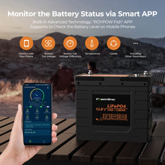 Group24 battery with app