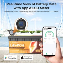 Intelligent monitor battery