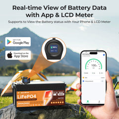 Intelligent monitor battery