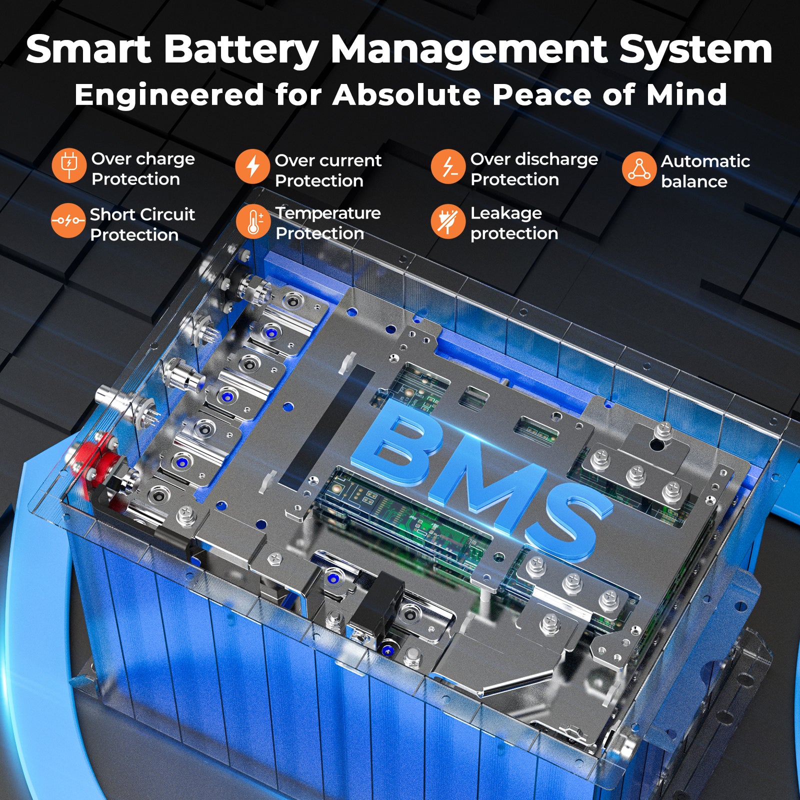 51.2V 100Ah golf cart battery - BMS