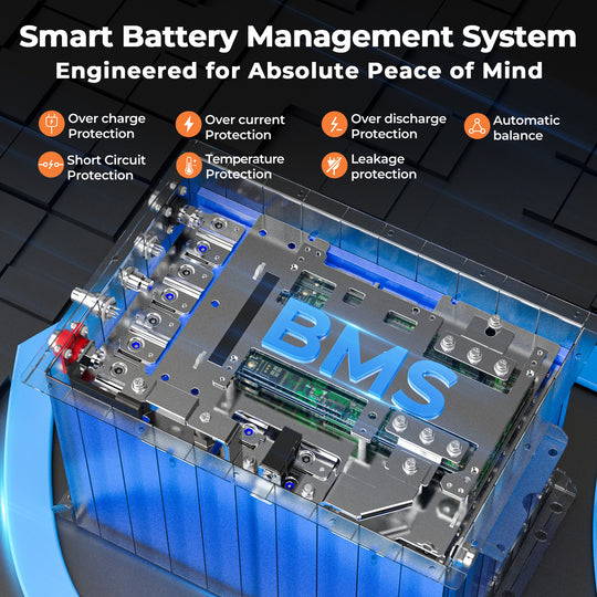 51.2V 100Ah golf cart battery - BMS