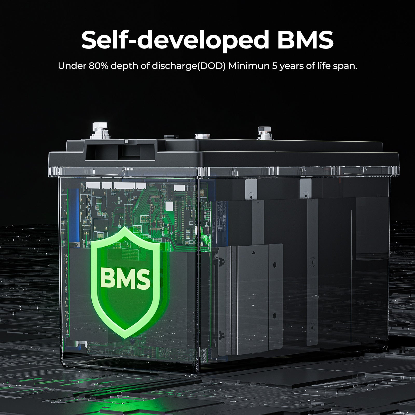 100A BMS