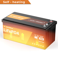 S12200S Self-heating battery