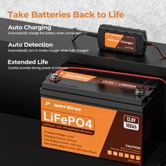 PowerUrus 12V 100AH LiFePO4 Deep Cycle Rechargeable Battery with 14.4V 10A Charger