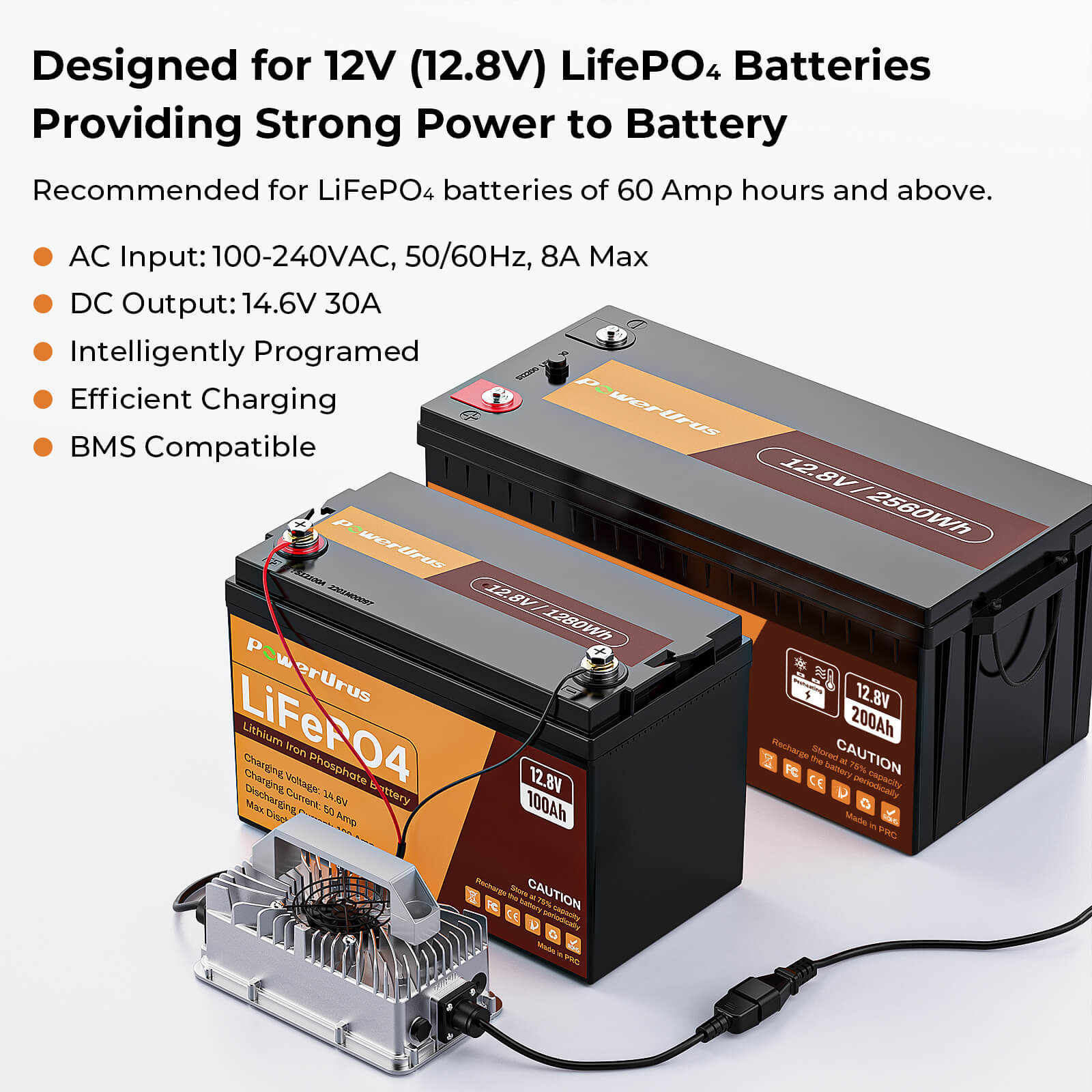 14.6V-30A E8 LiFePO4 Battery charger