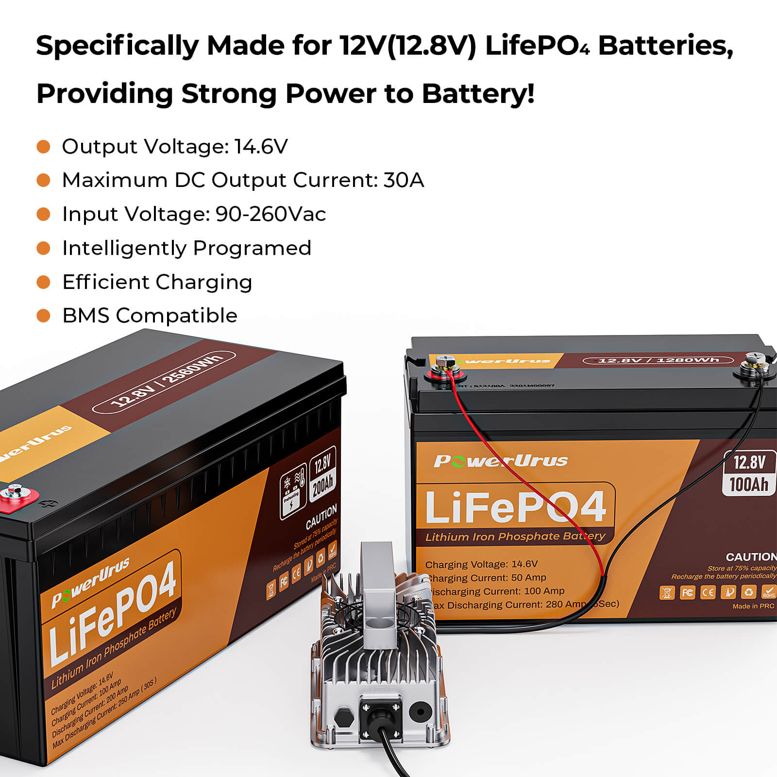 14.6V-30A LiFePO4 Battery charger